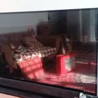 تلویزیون راک