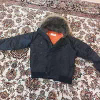 کاپشن خلبانی امریکایی|لباس|ساری, |دیوار