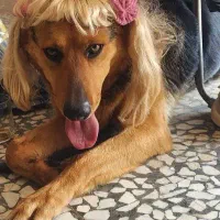 ژرمن ورکلاین ماده