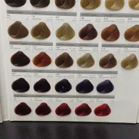 رنگ موی بلگا ۱۰۰ میل ۶۵۰۰۰ تومان|آرایشی، بهداشتی، درمانی|سبزوار, چهارراه فرودگاه|دیوار