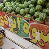 کارمند‌برای میوه فروشی