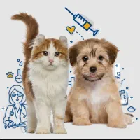 ۳۵ درصد تخفیف واکسیناسیون (تعداد محدود)