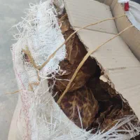 برگ زرد|عمدهفروشی|کاکی, |دیوار