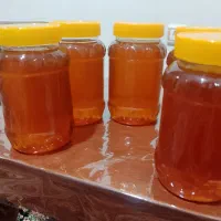 عسل طبیعی تولید در کوهای منطقه خودمان|خوردنی و آشامیدنی|تهران, نصرت|دیوار