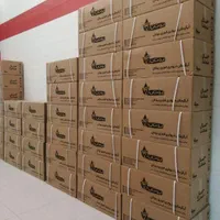 فروش انواع آبگرمکن بوتان فوری ورادیاتوری|آبگرمکن، پکیج، شوفاژ|کاشان, دروازه فین|دیوار