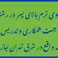 همکاری و تدریس در اموزشگاه پسرانه