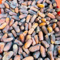 خرمای پیارم|خوردنی و آشامیدنی|شیراز, فرهنگ شهر|دیوار