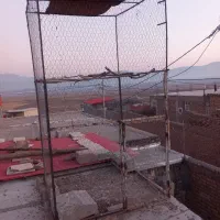 قفس پرنده|لوازم جانبی حیوانات|میانه, |دیوار