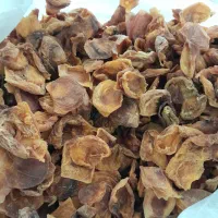 قیصی زرد الو|خوردنی و آشامیدنی|شیراز, احمدی جنوبی|دیوار