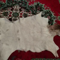 پوست تزیینی طبیعی