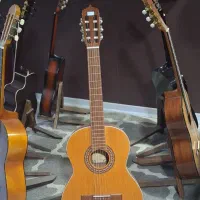 گیتار پارسی(نو)