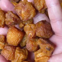 الو خورشتی ارگانیک