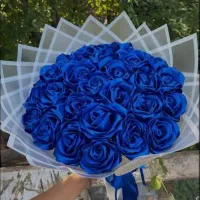 گل ربانی نیلین