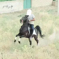 کره مادیون آینده دار