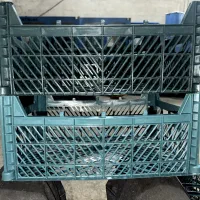 سبد میوه و گوجه