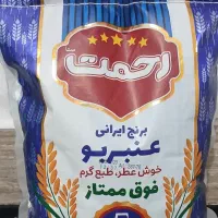 شهری به وسعت شالیزارهای ایران