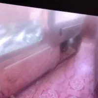 یخچال|یخچال و فریزر|زابل, |دیوار