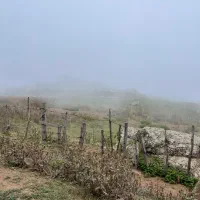 فروش باغچه ۸۴۰ متری واقع جاده احمداباد