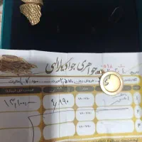 انگشتر و پلاک ان یکاد زیبا