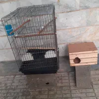 قفس عروس هلندی سایز ۳۰*۴۰