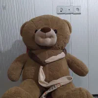 عروسک خرس و‌تمساح