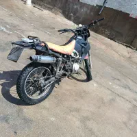 تریل gy