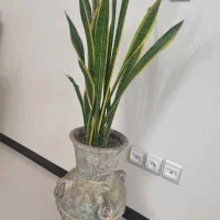 فروش گلدانها