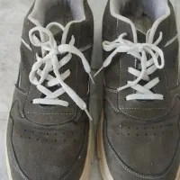 کفش و پوتین زنانه|کیف، کفش، کمربند|لنگرود, |دیوار