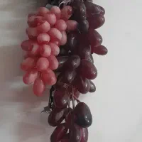 روفرشی درپردیس