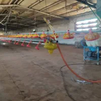 مرغداری گوشتی 24000 تایی|فروش دفتر صنعتی، کشاورزی، تجاری|تهران, سعیدآباد|دیوار