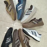 آنفالس درجه یک 12 جفتی