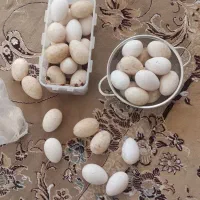 تخم مرغ غاز
