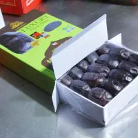 خرما رطب لاکچری باماها مجلسی و دستچین