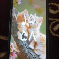 یک دستگاه موبایل