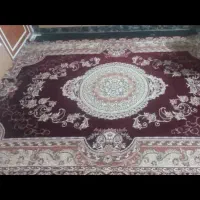 فرش ۱۲ متری و۶متری|فرش|کوه چنار, |دیوار