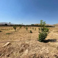 زمین باغشهری|فروش زمین و ملک کلنگی|بیضا, |دیوار