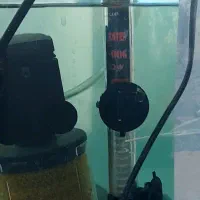 آکواریم و وسایل همراه با ماهی|ماهی|یزد, |دیوار