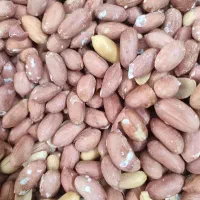 آجیل بادام زمینی بادام درختی گردو مغز گردو انجیر