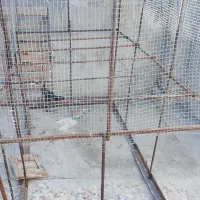 فروش فوری تور کبوتر مرغ