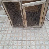 سلام قفس مرغ بزرگ چوبی