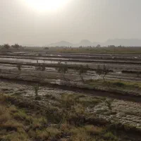 زمین کشاورزی در خاش جاده کارخانه سیمان بوتگان