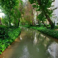 اپارتمان۱۷۰/برمادی/متری۱۰۰/تک واحدی/مبارزان شرقی