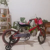 دوچرخه بچگانه