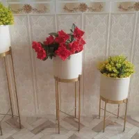 گل وگلدان درحدنو