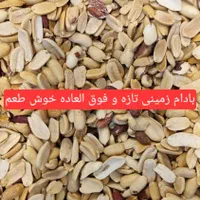 کره گیری بادام زمینی در حضور مشتری|خوردنی و آشامیدنی|اصفهان, میرعماد|دیوار