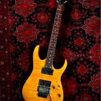 گیتار الکتریک rg320