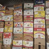 کارتن موزی سالم