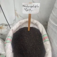 چای بهاره لاهیجان و چای سبز چای مخصوص قهوه خانه
