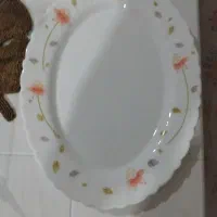 یک دست پیش دستی و یک دیس