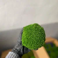 دیوار سبز خزه ای یا mosswall|گل و گیاه طبیعی|شیراز, شهرک والفجر|دیوار